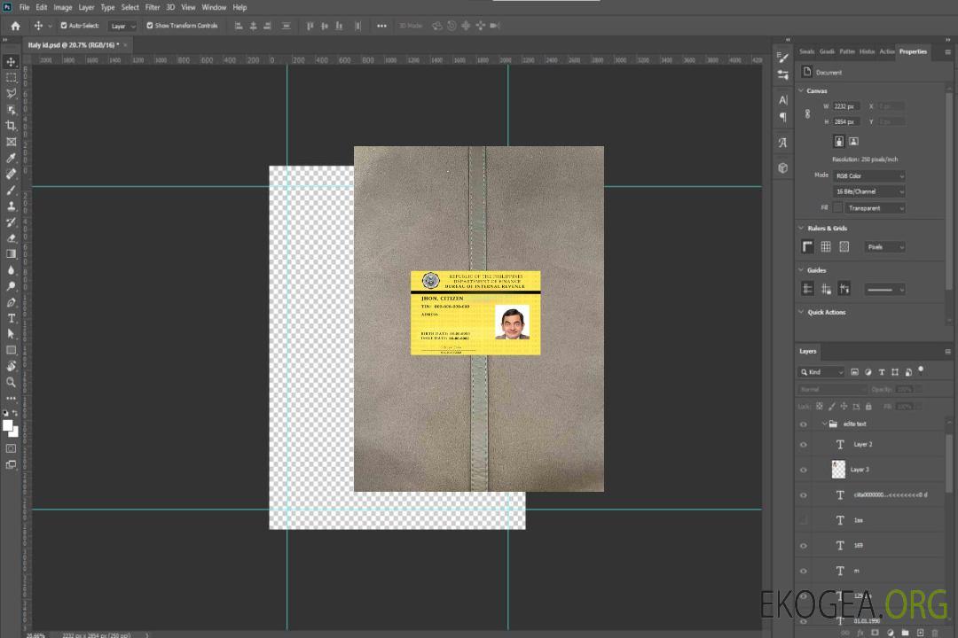 Bureau des recettes internes des Philippines photolook FRONT template